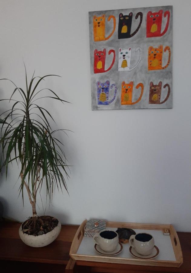 Sauna Dom Pezinok Luaran gambar